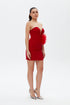 IRIS SWEETHEART NECK BODYCON MINI DRESS
